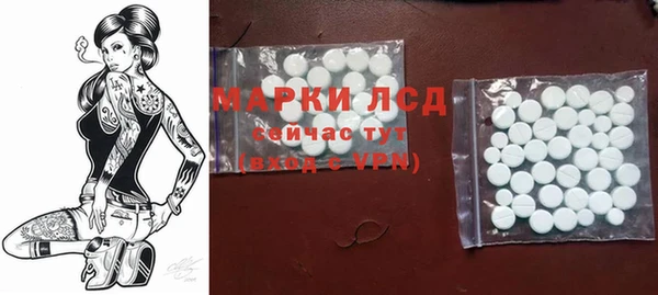 дживик Богданович