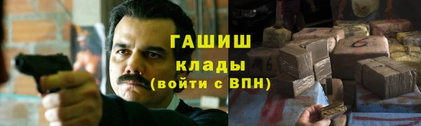 гидра Инсар