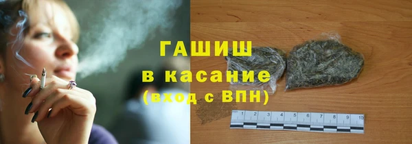 молекула духа Богородицк