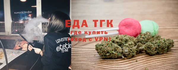 молекула духа Богородицк